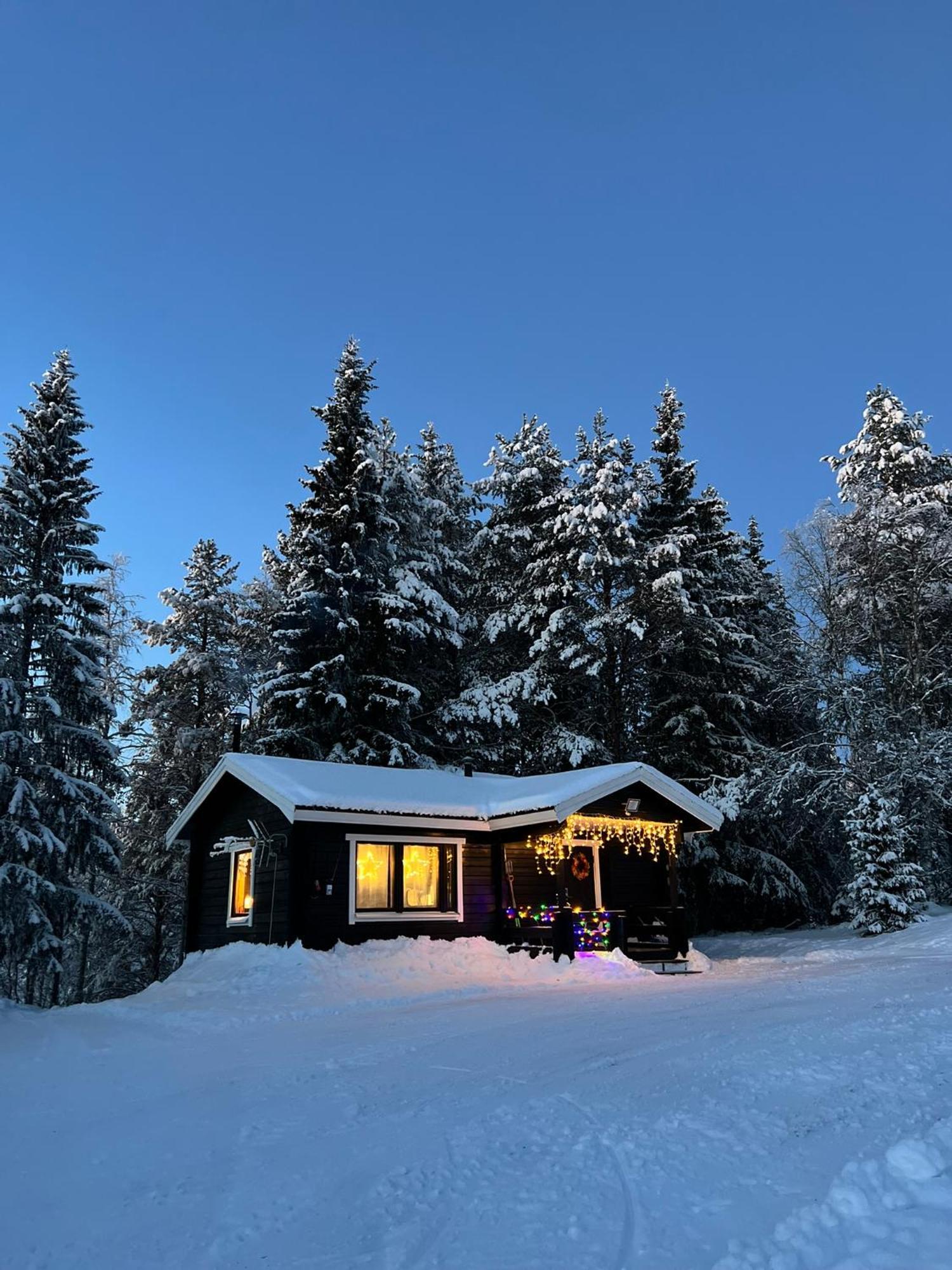 Gemuetliches Blockhaus Im Wald Villa Auktsjaur Exterior photo